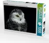 Calvendo Schneeeule 1000 Teile Puzzle quer 640x480mm, Klatt Produktbild-Vorschau 1