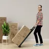 COSTWAY 2in1 Sackkarre & Trittleiter klappbar, 2 Räder Produktbild-Vorschau 2