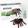 Aga Diaľkovo ovládaný pavúk TARANTULA hnedý Náhľad obrázku produktu 2