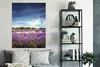 MuchoWow® Poster Blauer Himmel über Lavendel in der Natur Produktbild-Vorschau 4