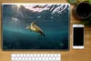 MuchoWow® Laptop Aufkleber Sticker Cover Schildkröte im Produktbild-Vorschau 2