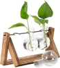 Pflanzenvasen, Terrarium-Stecklinge – Holzhalter mit Glas – Produktbild-Vorschau 1