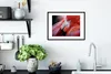 MuchoWow® MuchoWow® Gerahmtes Poster Nahaufnahme eines Produktbild-Vorschau 4