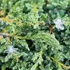 Luci solari per giardino a forma di fiori, lunghezza 7 Anteprima dell’immagine prodotto 2