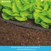 Cellfast Tubo Di Asciugamento 1/2" 15M * Anteprima dell’immagine prodotto 14