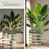 tectake® Künstlicher Paradiesvogelbaum Tropic verschiedene Produktbild-Vorschau 4