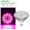 A collage showing a plant grow light from two different angles, one illuminated and one with dimensions. Produktbild-Vorschau