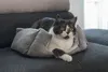 Beeztees Katzenbett Baboo 48 x 37 x 18 cm grau-hellgrau, Produktbild-Vorschau 3