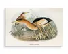 Fabelhafte Canvas LEINWAND BILDER 40x30 cm XXL Kunstdruck Produktbild-Vorschau 3