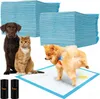 Tampone igienico 60x60cm 100 pz. Purlov 21601 Anteprima dell’immagine prodotto 4