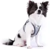 Curli Clasp Vest Geschirr Glow Reflective Gray, Größe: M Produktbild-Vorschau 14