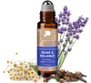 PHINTIN Bio Roll-On Ruhe & Balance 10 ml | Duftroller mit Produktbild-Vorschau 1