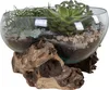 Goccia d'acqua San Marino h20 cm in teak. Anteprima dell’immagine prodotto 2