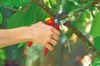 WOLF-Garten Amboss-Gartenschere Premium Plus RS 4000, Produktbild-Vorschau 8