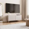 A modern living room setting with a TV stand, TV, mirror, and rug. Voir les images du produit