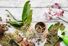 Orchid plant with its roots exposed, surrounded by orchid growing supplies on a white wooden surface. Produktbild-Vorschau
