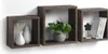 Three dark brown floating cube shelves are mounted on a white wall. The left shelf contains two white vases, one with reeds. The middle shelf holds a green plant in a gray pot. The right shelf displays a black flower decoration and three books. Produktbild-Vorschau