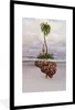 MuchoWow® MuchoWow® Gerahmtes Poster Meer - Insel - Gehirn Produktbild-Vorschau 1