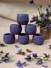 Zestaw 6 okrągłych doniczek Cactus w kolorze fioletowym, 10 Podgląd zdjęcia produktu 1