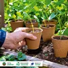 Romberg 48 Anzuchttöpfe Ø 8 cm biologisch Produktbild-Vorschau 5