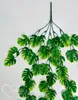 Girlande mit Monsterablättern, Monstera-Anhänger 73 cm, Produktbild-Vorschau 7