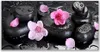 Acrylglasbilder 120x60 Wandbild Druck Blumen Steine Kunst Produktbild-Vorschau 1