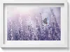 Schmetterling auf Feldblumen– Wandbild mit Rahmen – Produktbild-Vorschau 1