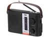 Trevi RA 7F25 BT Ordinateur portable analogique et Voir les images du produit 1