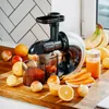 Adler | Slow-speed juicer 3in1 - Meat mincer Voir les images du produit 15