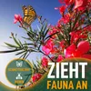 A monarch butterfly on a flowering plant with text overlays. Voir les images du produit