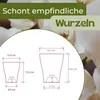 Orchideentopf Transparent Orchideen Übertopf Orchideentopf Produktbild-Vorschau 5