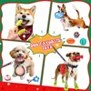 Solidchoice - Calendrier de l'Avent pour chiens, contenant Voir les images du produit 4