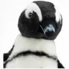 Carl Dick Pinguin, pingüino de Humboldt, aproximadamente 30 Vista previa de la imagen del producto 2