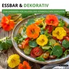 Kapuzinerkresse Rankende Mischung Samen - Tropaeolum majus Produktbild-Vorschau 5