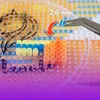 La Manuli Bügelperlen set 2,6 mm - 24.000 mini steekparels Productafbeelding-voorbeeld 13