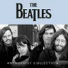 The Beatles - Anthology Collection (coffret) (8 CD) Voir les images du produit 2