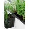 Geli Euro pallet inserto per piante EASY antracite 18 cm - Anteprima dell’immagine prodotto 2