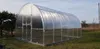 Serra KLASIKA TUBE 3x4m con fondamenta e policarbonato da 6 Anteprima dell’immagine prodotto 8