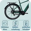 Tretwerk Onyx E Bike Trekkingrad Herren Fahrrad 28 Zoll Produktbild-Vorschau 8