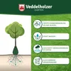 Veddelholzer 2 x 75 l Baumbewässerungssack mit Produktbild-Vorschau 7