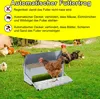 Mangiatoia automatica Hengda, mangiatoia automatica per Anteprima dell’immagine prodotto 4