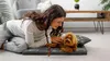 A woman is lying on the floor next to her dog, petting it. The dog is lying on a dog bed. Náhled obrázku produktu