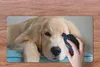 MuchoWow® Mauspad Mousepad Ein liegender Golden Retriever Produktbild-Vorschau 3