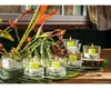 Pot en verre parallélépipédique Pot de plante cube verre Voir les images du produit 3