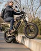 APE RYDER Mandrill E-Bike 20" Fatbike, 250W Motor, 48V 15Ah Produktbild-Vorschau 8