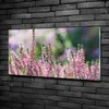 Tulup® Glas-Bild - 100x50 -Wandkunst - Wandbild hinter Produktbild-Vorschau 2