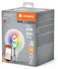 LEDVANCE SMART+ WiFi Filament Globe RGBW, Intelligentes Produktbild-Vorschau 2