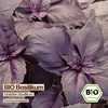 Samenliebe  Basilikum Samen | Violetter Basilikum - Produktbild-Vorschau 4