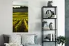 MuchoWow® Poster Toskana - Landschaft - Wein 60x120 cm - Produktbild-Vorschau 4