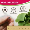 Ginkgo Biloba 6000mg Tabletten, 365 Stück - Produktbild-Vorschau 4
